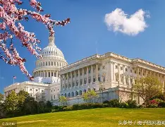 九游- 华盛顿奇才训练开放日，今晚伤情更新引观众欢呼，美洲杯在即，团队化学反应显著